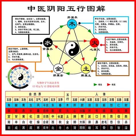 五官 五行|史上最全：中医五行、五脏、五味、五色、五官、五情、五季、五。